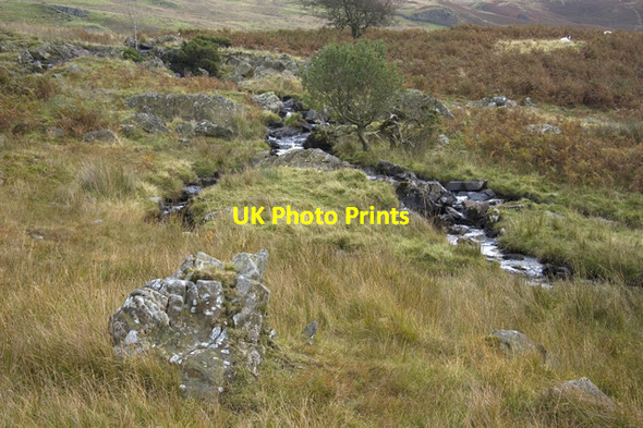 Photo 6"x4" Skeggles Water Dike Green Quarter c2009