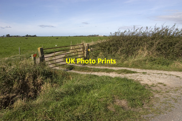 Photo 6"x4" Farm track near Tarn Farm Moss Edge\/SD4349 c2009