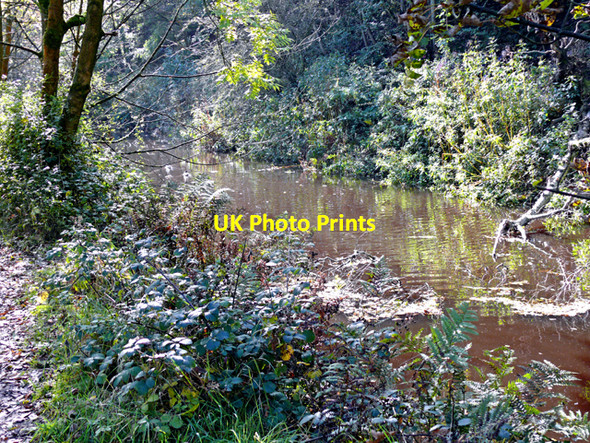 Photo 6"x4" Colours of autumn Lane Ends\/SJ9790 c2009
