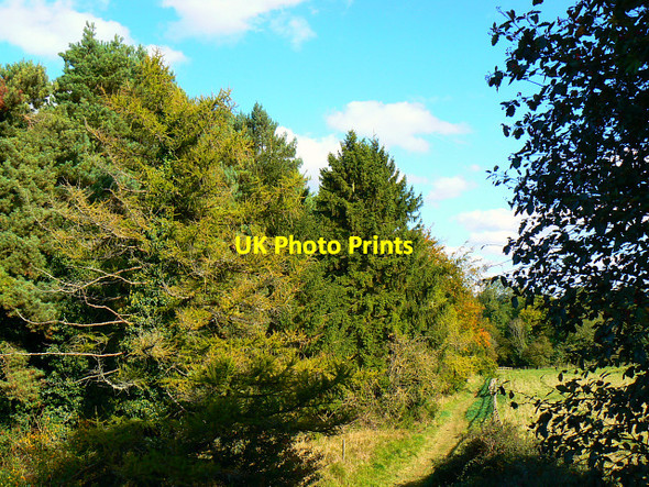Photo 6"x4" Footpath to Stanton Fitzwarren, Swindon Stanton Fitzwarren c2009