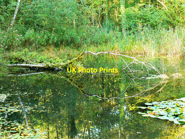 Photo 6"x4" Lake, Stanton Park, Swindon Stanton Fitzwarren c2009