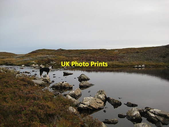 Photo 6"x4" Loch Theirmeadail Gramasdail c2009