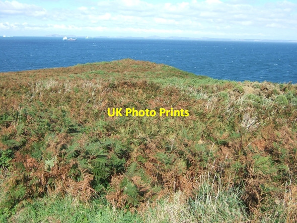 Photo 6"x4" Scrubby headland near St Martin's Marloes c2009