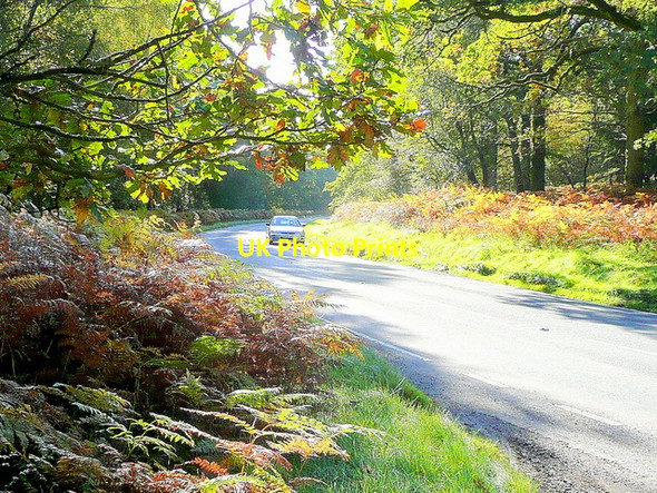 Photo 6"x4" B4234, New Road, near Parkend Ellwood c2009