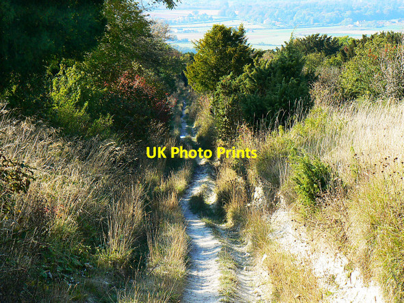 Photo 6"x4" Down the byway to the A3102, Bromham CP Heddington c2009