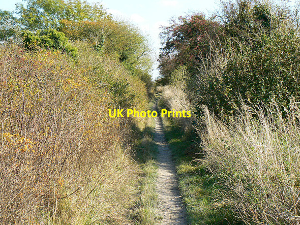 Photo 6"x4" Byway to the Mid Wilts Way, Bromham CP Heddington c2009