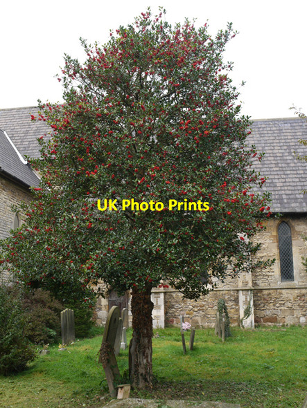 Photo 6"x4" All Saints Churchyard, Winteringham Winteringham c2009