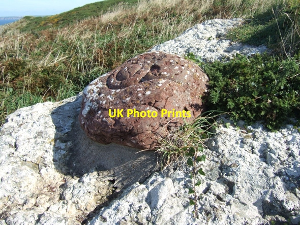 Photo 6"x4" Carved stone (artwork) between Foxes Holes and Dutch Gin South Hill\/SM8311 c2009