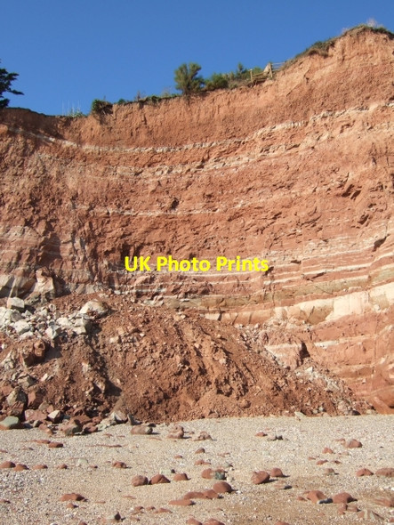 Photo 6"x4" A recent cliff fall just east of Sidmouth Sidmouth c2009