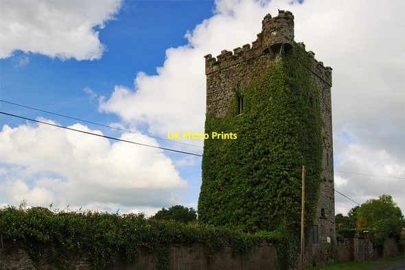Photo 6"x4" Castles of Munster: Williamstown, Limerick (1) Ballyneety c2009