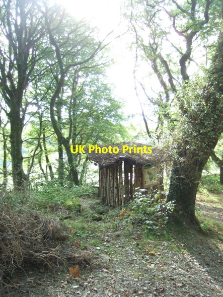 Photo 6"x4" Information hut in Pengelli Forest Felindre Farchog c2009