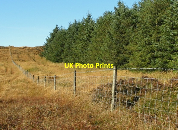 Photo 6"x4" Fence boundary, Glenariff Forest Park Martinstown\/D1314 c2009