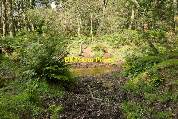 Photo 6"x4" Warwickslade Cutting: original stream bed Bank\/SU2807 c2009