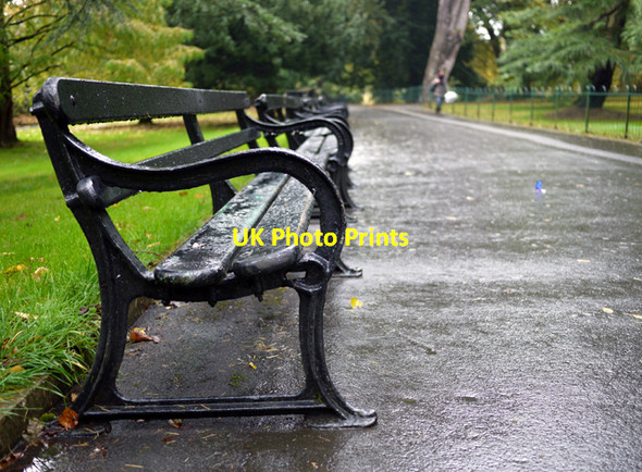 Photo 6"x4" Empty benches, Botanic Park Belfast c2009