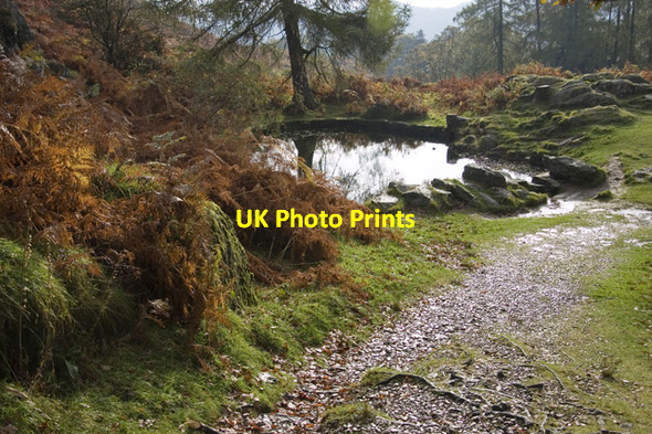 Photo 6"x4" Small reservoir on track to Alcock Tarn Grasmere\/NY3307 c2009
