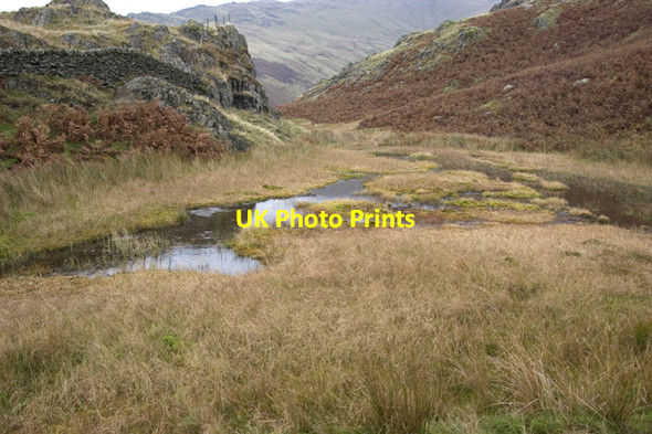 Photo 6"x4" Shallow tarn north of Alcock Tarn Grasmere\/NY3307 c2009