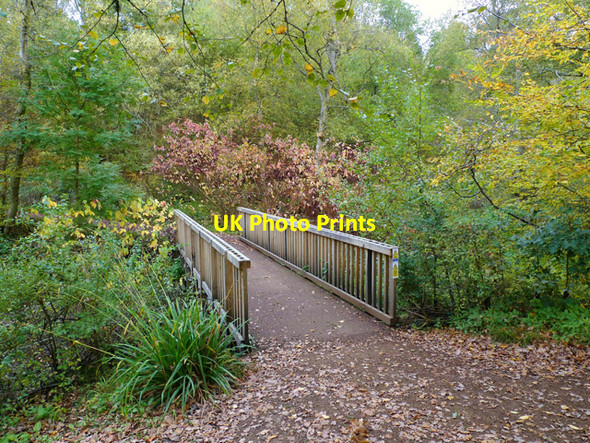 Photo 6"x4" The Footbridge, Stockgrove Park Fox Corner\/SP9229 c2009