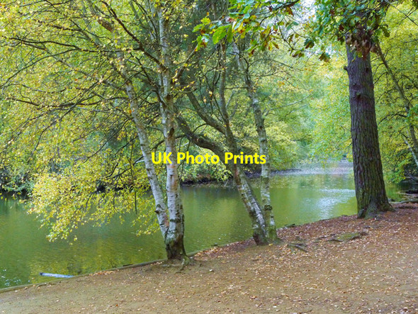 Photo 6"x4" Looking across to the Island, Stockgrove Park Fox Corner\/SP9229 c2009