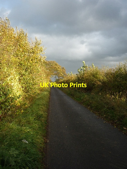 Photo 6"x4" Low Lane Heslington c2009