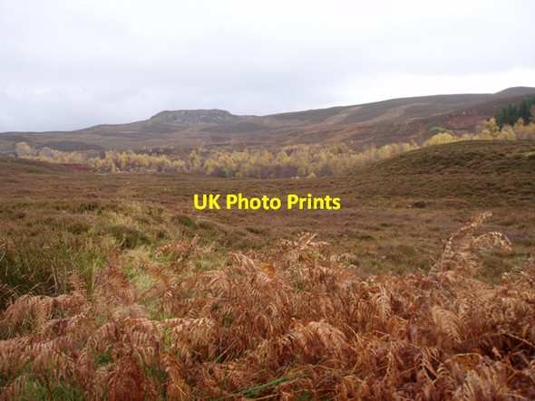 Photo 6"x4" Moorland south of Phones Lodge Etteridge c2009