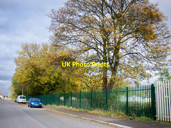Photo 6"x4" Autumn Colour, Maltkiln Road, Barton Upon Humber Barton-Upon-Humber c2009