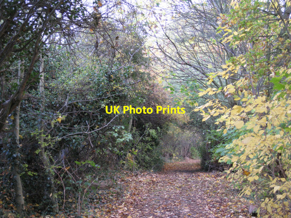 Photo 6"x4" Perimeter track, Newbold Comyn Golf Course Royal Leamington Spa c2009