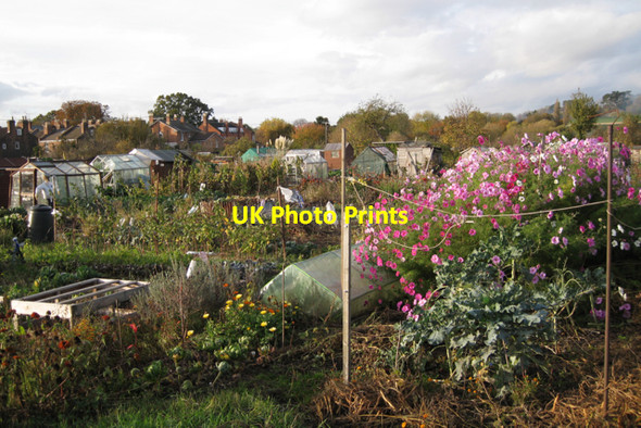 Photo 6"x4" St Mary's allotments, Radford Road Royal Leamington Spa c2009