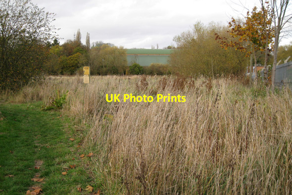 Photo 6"x4" North-west corner of Welches Meadow local nature reserve Royal Leamington Spa c2009