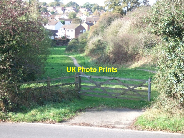 Photo 6"x4" Footpath close to Mincinglake Bridge Exeter c2009