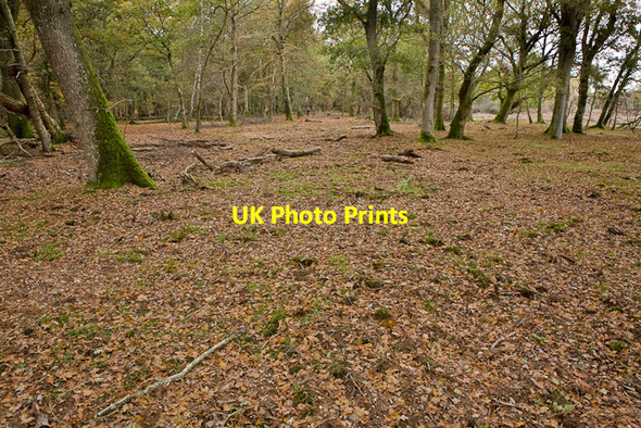 Photo 6"x4" Warwickslade Cutting: filled in Bank\/SU2807 c2009