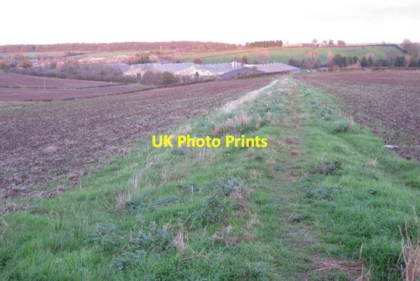 Photo 6"x4" Former field boundary near Glebe Farm Royal Leamington Spa c2009