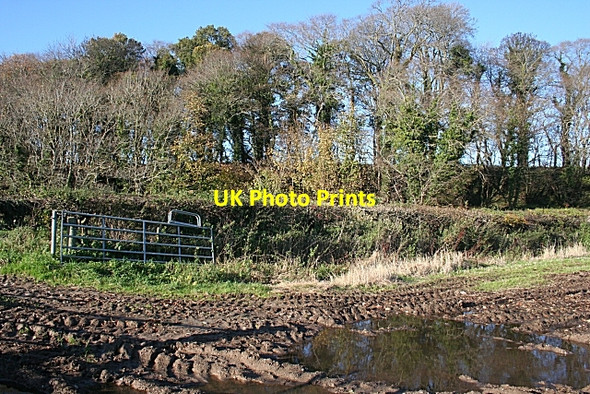 Photo 6"x4" Near Dipple Fochabers c2009