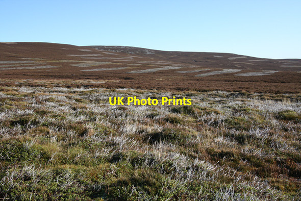 Photo 6"x4" Moss of Allt na Ciste Corgarff c2009