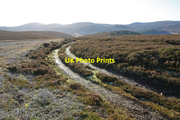 Photo 6"x4" Track, Moss of Allt na Ciste Corgarff c2009