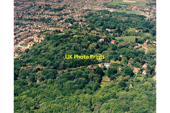 Photo 6"x4" Aerial view of woodland west of Thundersley Glen, Benfleet Thundersley c1987