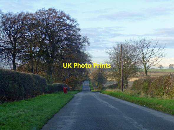 Photo 6"x4" Near Barton Lodge Burnham\/TA0517 c2009