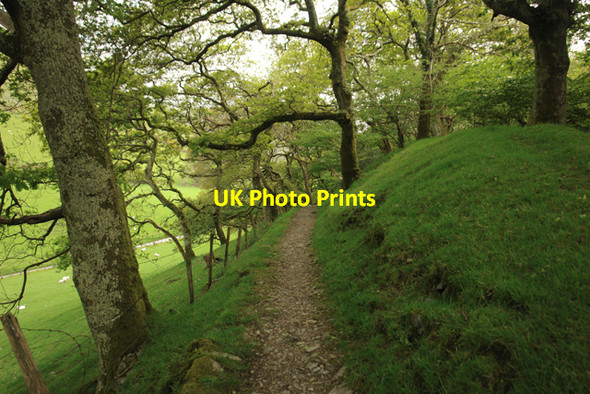 Photo 6"x4" Trudging up to Castell y Bere Llanfihangel-y-pennant\/SH6708 c2009