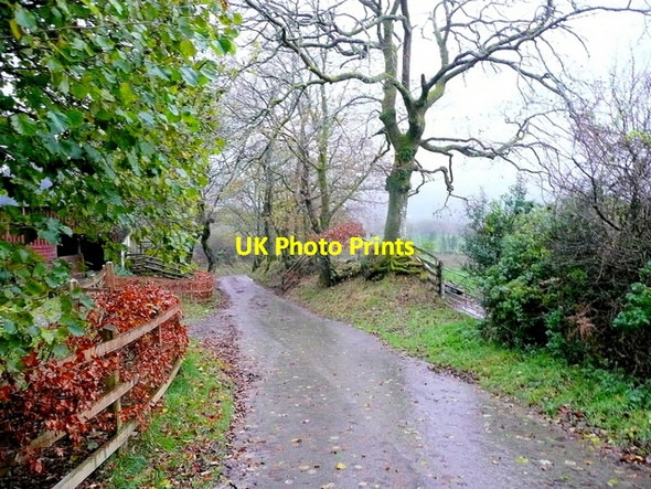 Photo 6"x4" Wet lane at Bryn-Bran Ffarmers c2009