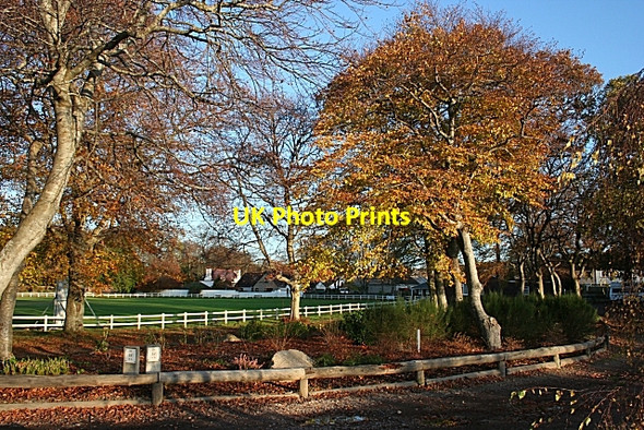 Photo 6"x4" Fochabers Cricket Ground Fochabers c2009