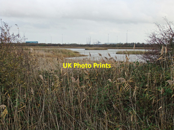 Photo 6"x4" Killingholme Haven Pits Nature Reserve North Killingholme c2009