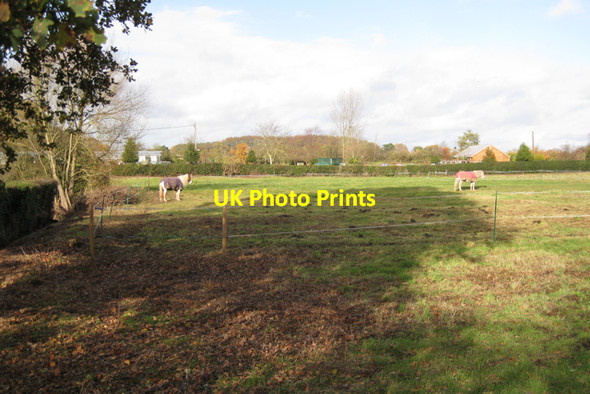Photo 6"x4" Paddock by Woodloes Lane, Warwick Warwick c2009