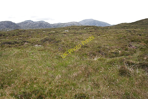 Photo 6"x4" Cnocan Loisgte Eadar Dha Fhadhail c2009