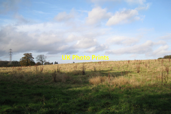 Photo 6"x4" Field north of Middle Woodloes Warwick c2009