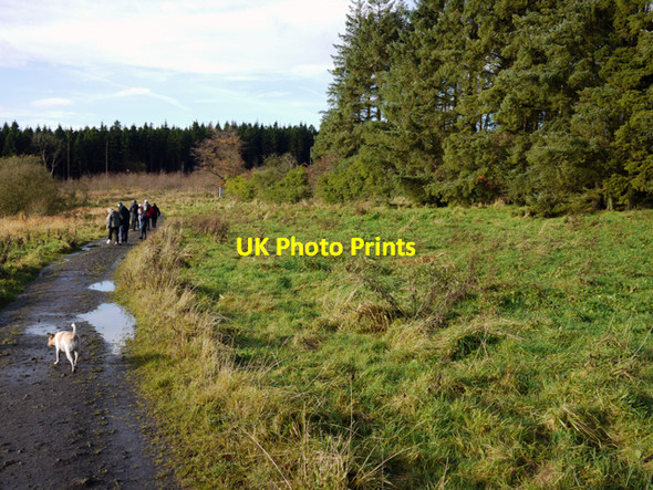 Photo 6"x4" Track, Woodburn Greenisland c2009