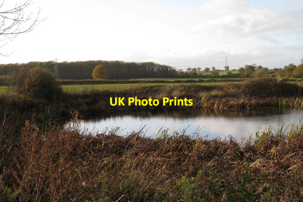 Photo 6"x4" North corner of Larch Covert Guy's Cliffe c2009