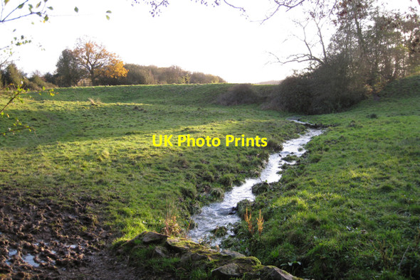 Photo 6"x4" A bank and a brook north-east of Goodrest Farm Kenilworth c2009