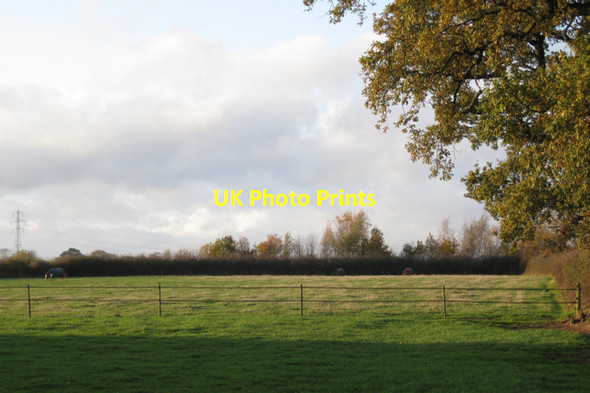 Photo 6"x4" A paddock near Goodrest Farm Kenilworth c2009
