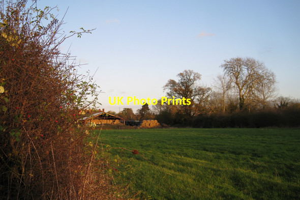 Photo 6"x4" Straw bales, Goodrest Farm Guy's Cliffe c2009