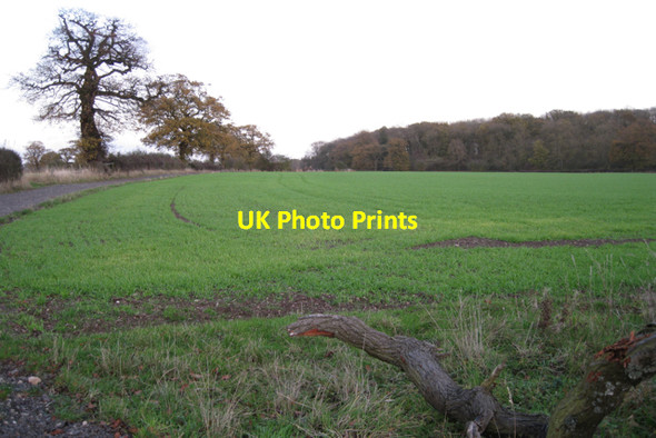 Photo 6"x4" West corner of Larch Covert Waste Green c2009