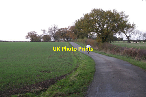 Photo 6"x4" Wedgnock Lane south of Deer Park Farm Waste Green c2009